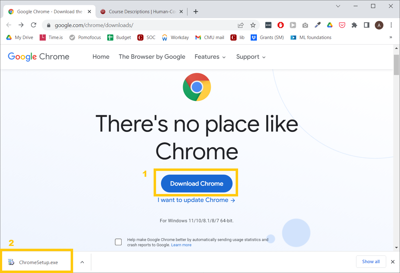 Screenshot of the Chrome landing page.